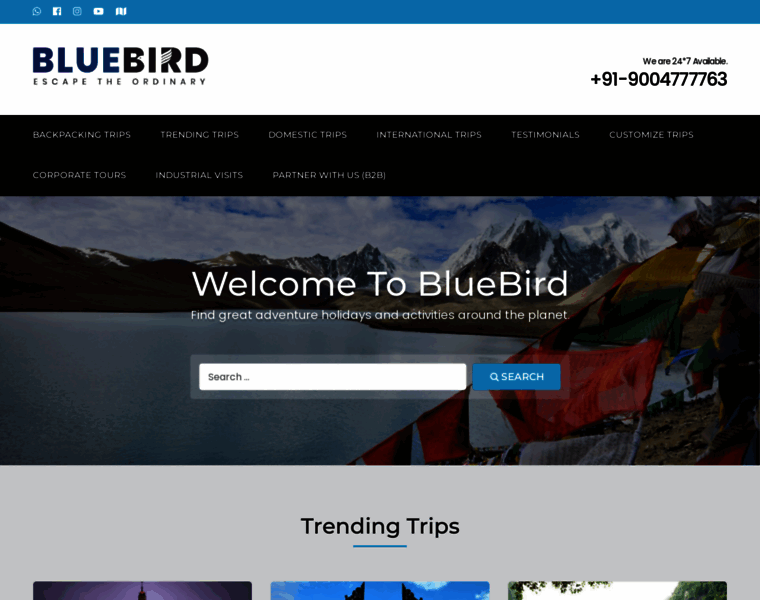 Bluebirdholidays.in thumbnail