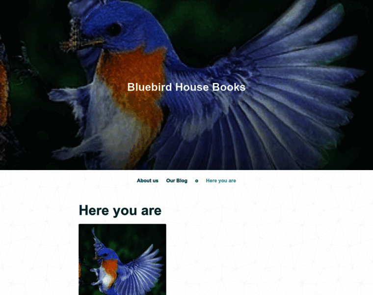 Bluebirdhousebooks.com thumbnail