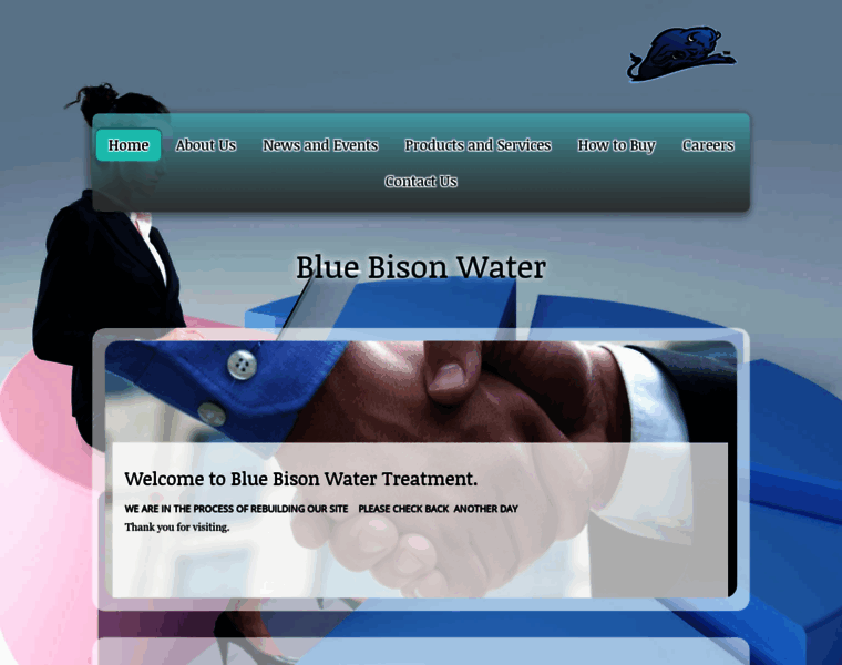 Bluebisonwater.com thumbnail