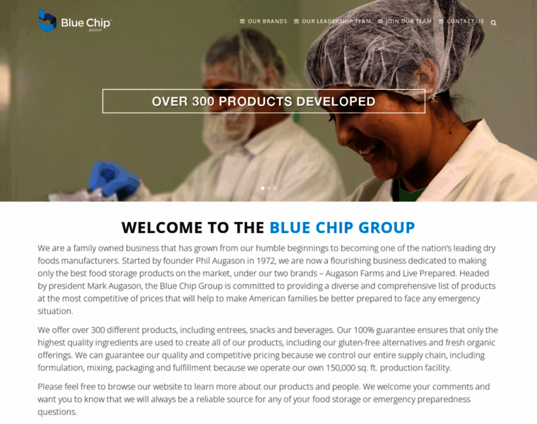 Bluechipgroup.net thumbnail