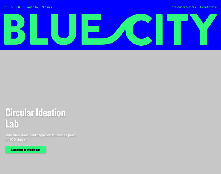 Bluecity.nl thumbnail