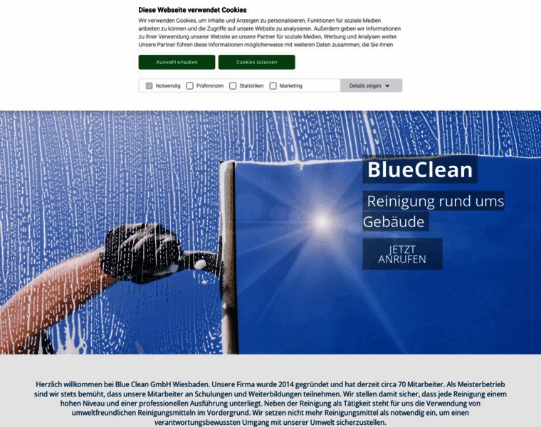 Blueclean-gmbh.de thumbnail