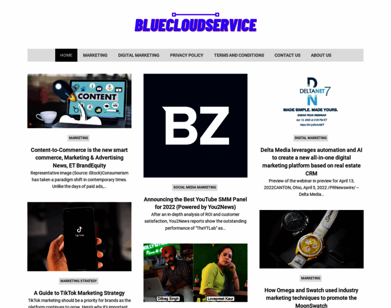 Bluecloudservice.net thumbnail