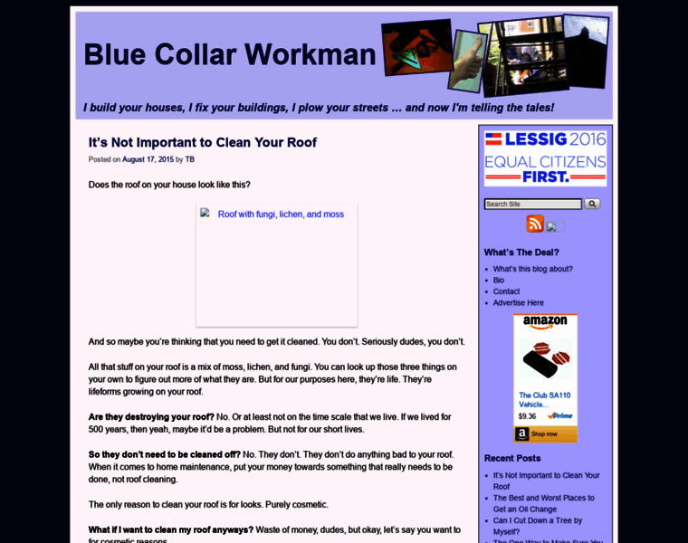 Bluecollarworkman.com thumbnail
