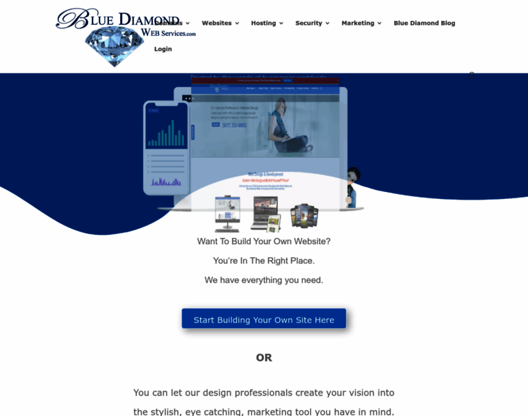 Bluediamondwebservices.com thumbnail