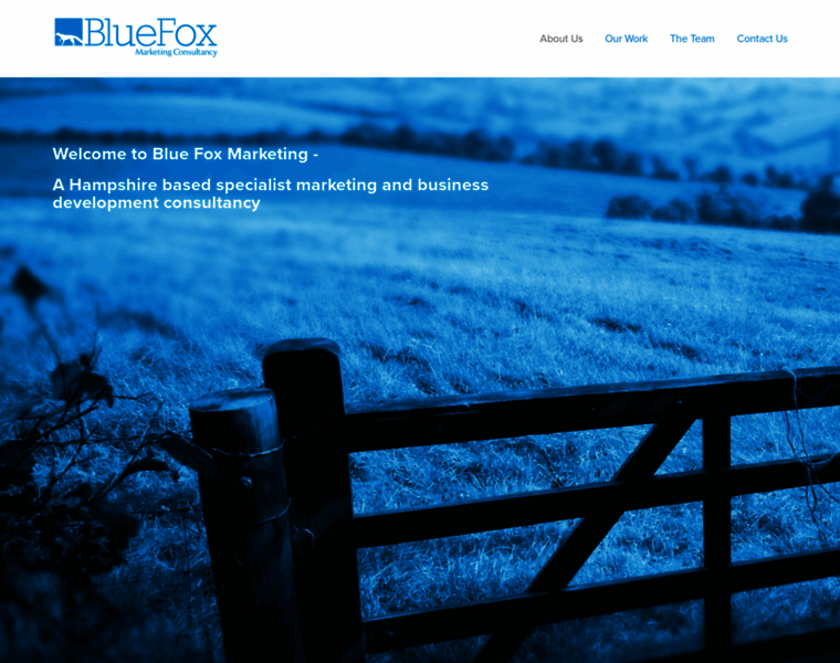 Bluefoxmarketing.co.uk thumbnail