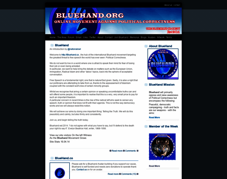 Bluehand.org thumbnail