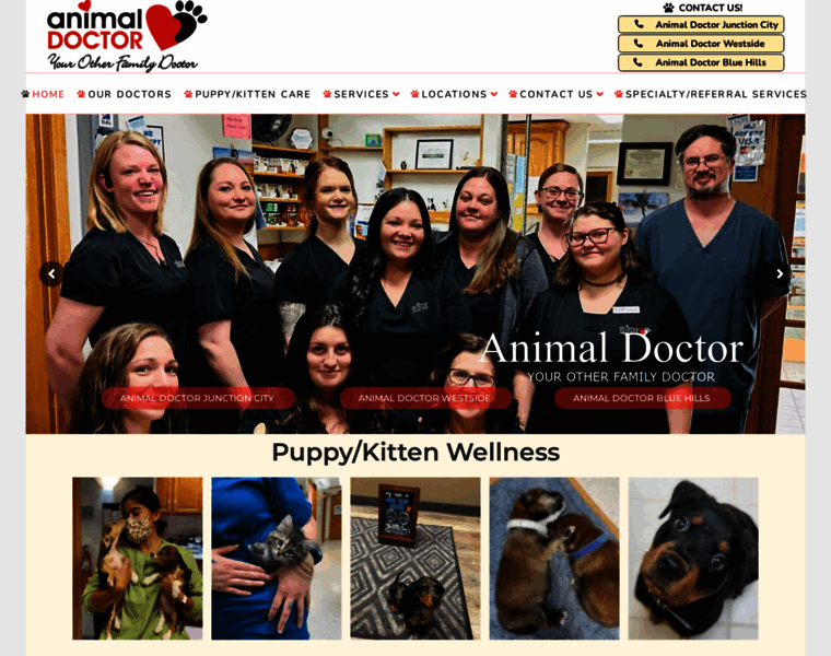 Bluehillsanimalhospital.com thumbnail Bluehillsanimalhospital.com thumbnail