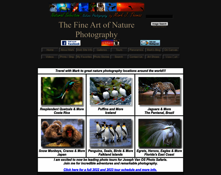 Blueiceberg.com thumbnail Blueiceberg.com thumbnail
