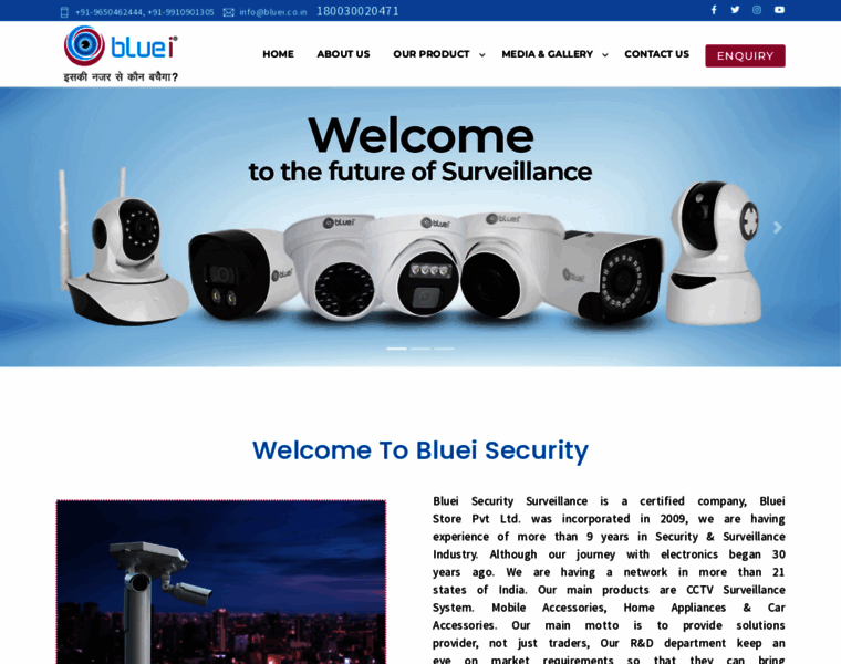 Blueisecurity.co.in thumbnail
