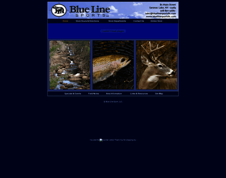 Bluelinesportsllc.com thumbnail
