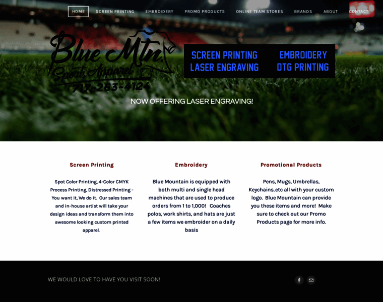 Bluemountainsportsonline.com thumbnail