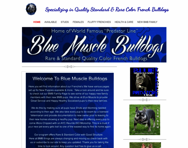 Bluemusclebulldogs.com thumbnail