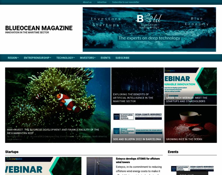 Blueoceanmag.com thumbnail