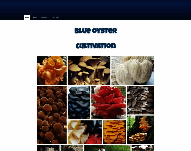 Blueoystercultivation.com thumbnail