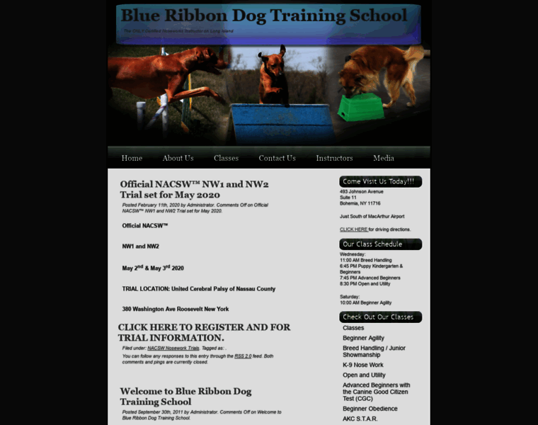 Blueribbondogschool.com thumbnail