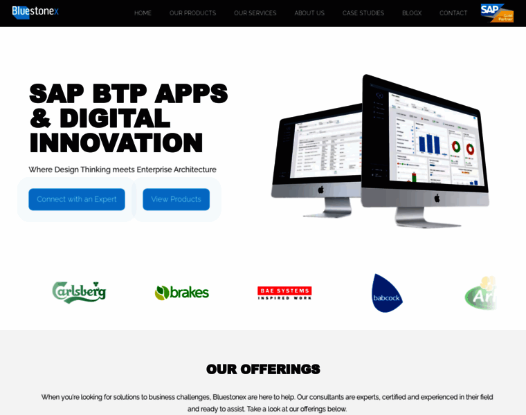 bluestonex.com at WI. SAP BTP & Data Solutions for Digital ...