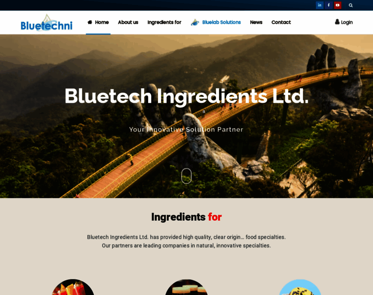 Bluetechni.com thumbnail