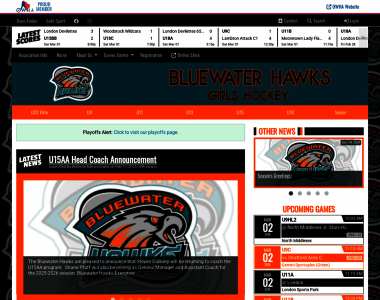 Bluewaterhawks.com thumbnail Bluewaterhawks.com thumbnail