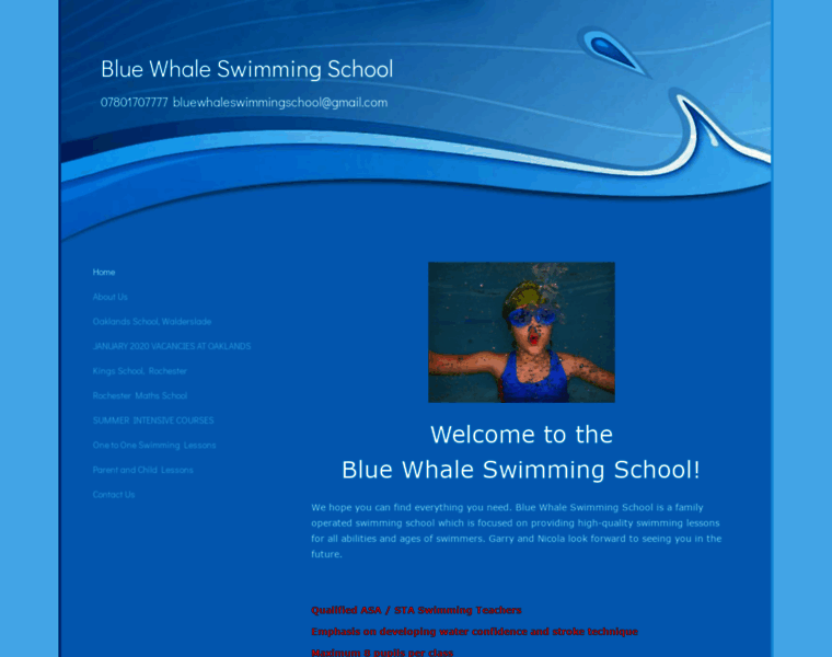Bluewhaleswimmingschool.co.uk thumbnail
