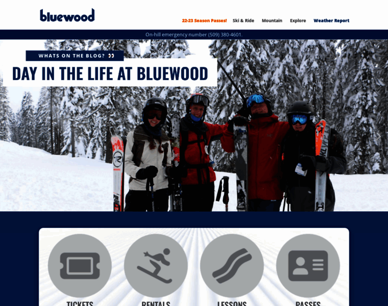 Bluewood.com thumbnail