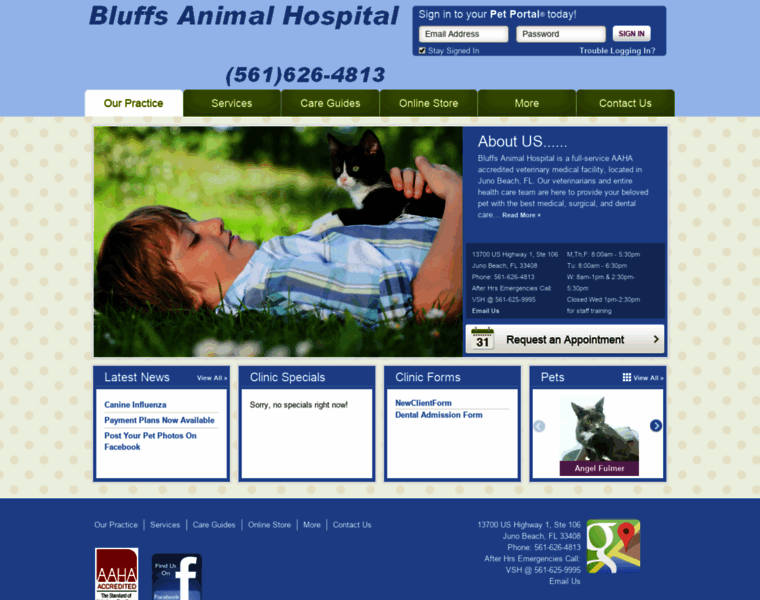 Bluffsanimalhospital.com thumbnail