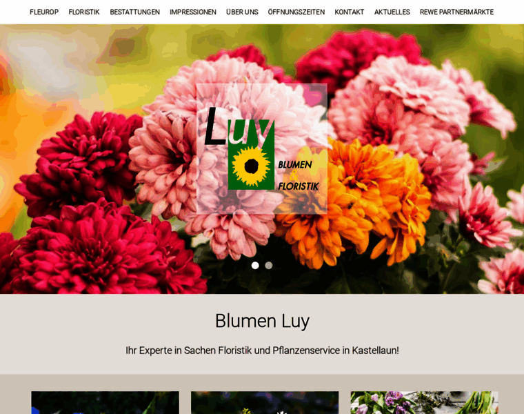 Blumen-luy.de thumbnail