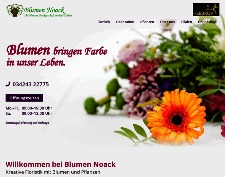 Blumen-noack.de thumbnail