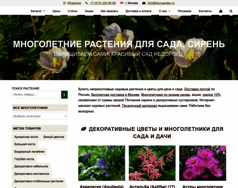 Blumgarden.ru thumbnail