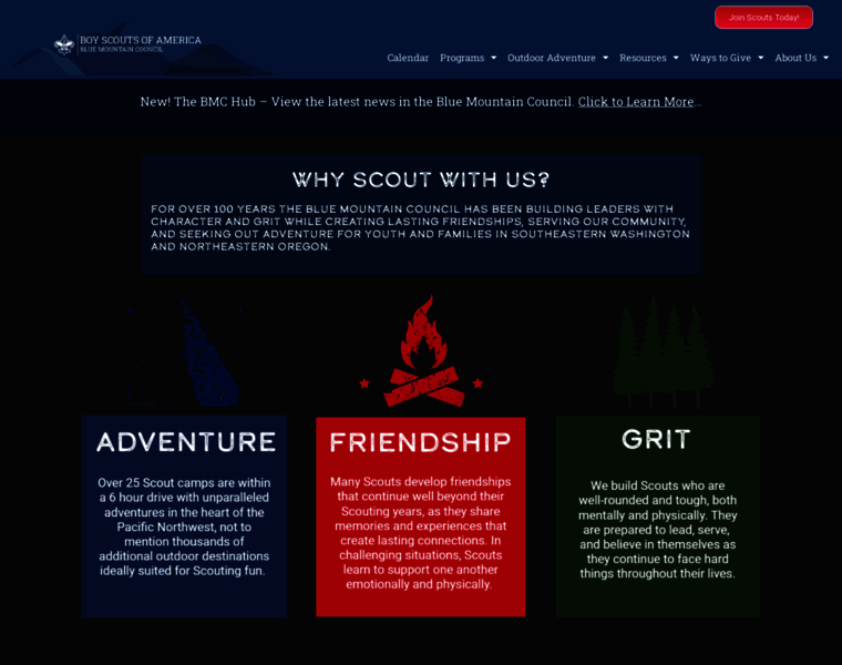 Bmcbsa.org thumbnail