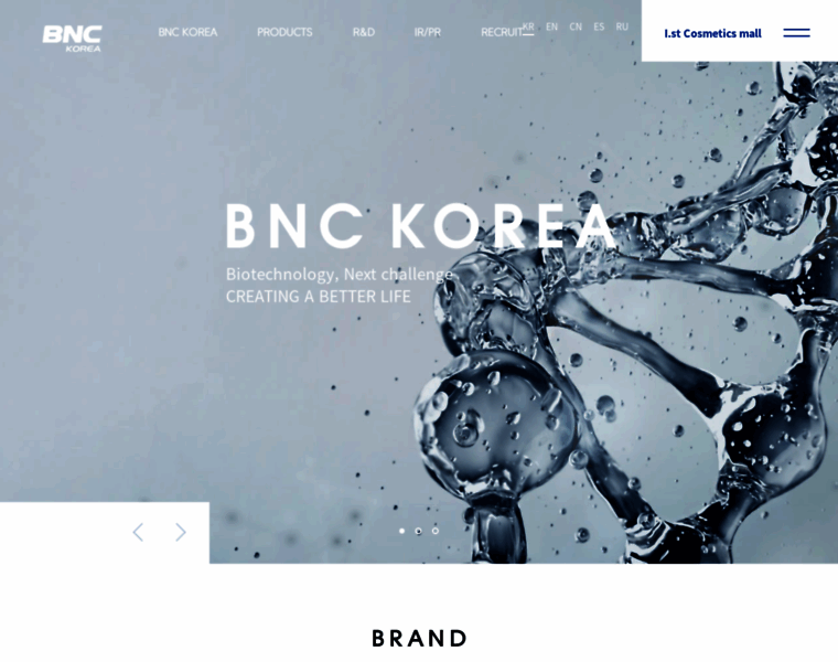 Bnckorea.co.kr thumbnail