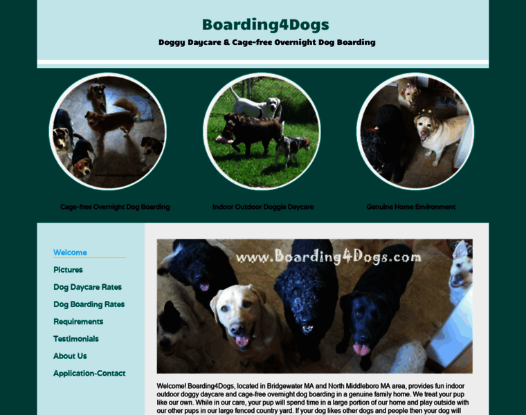 Boarding4dogs.com thumbnail