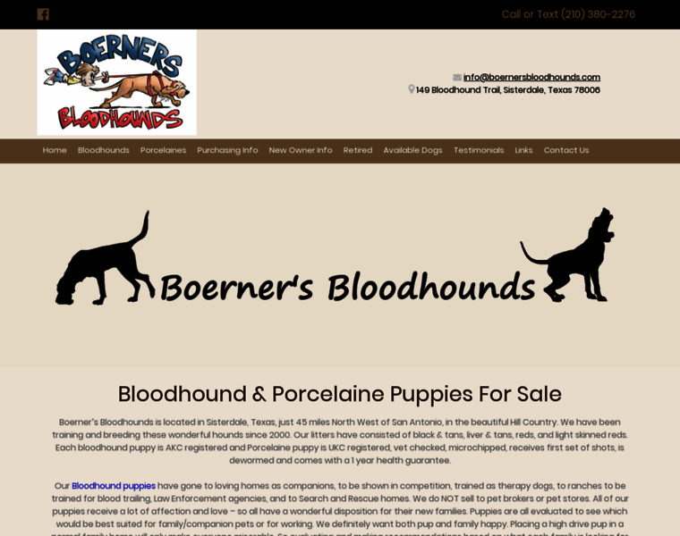 Boernersbloodhounds.com thumbnail