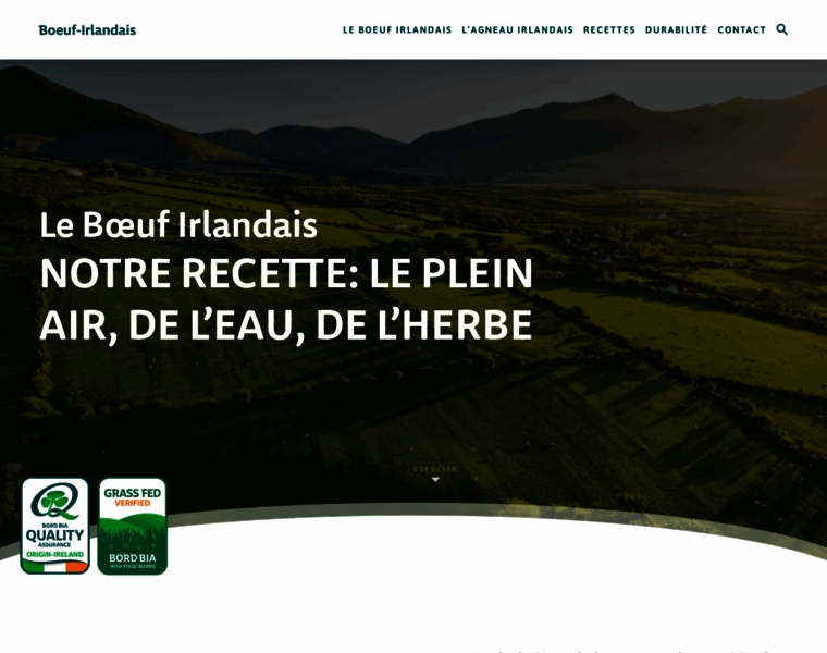 Boeuf-irlandais.fr thumbnail