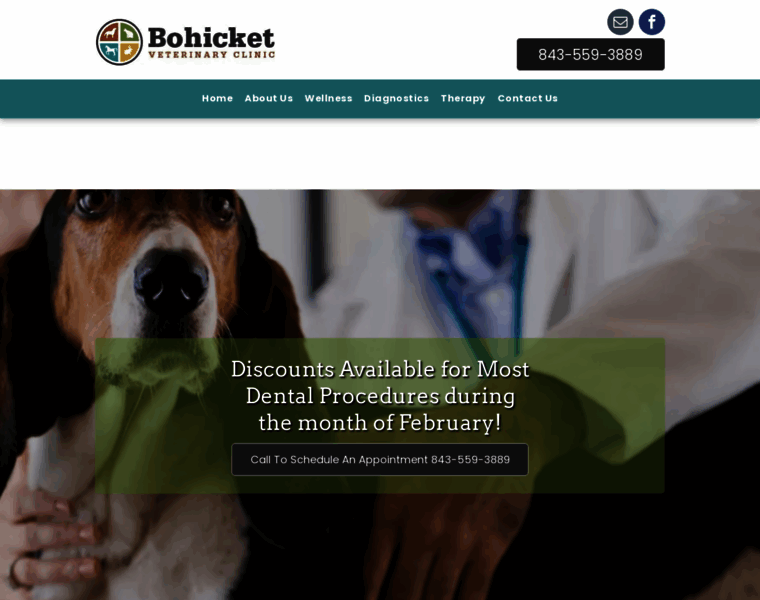 Bohicketvet.com thumbnail