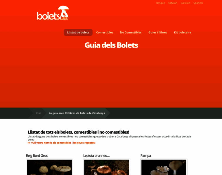 Bolets.info thumbnail