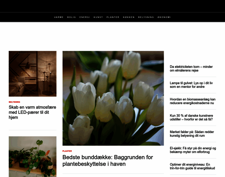 Boligprincip.dk thumbnail