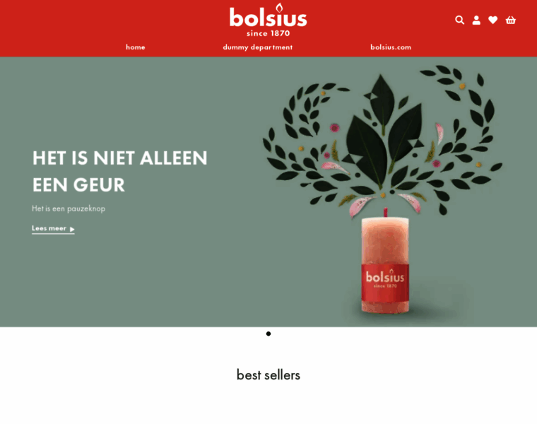 Bolsiuskaarsenshop.nl thumbnail