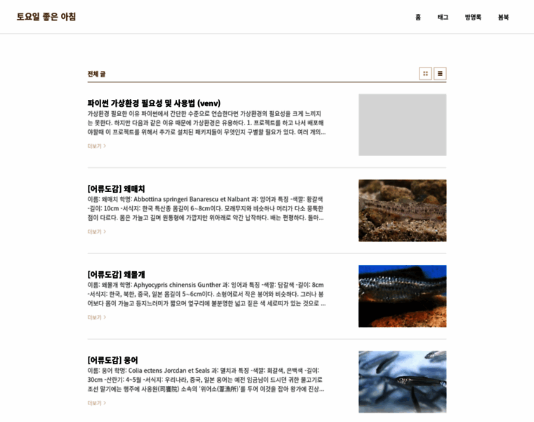 Bomsoft.com thumbnail