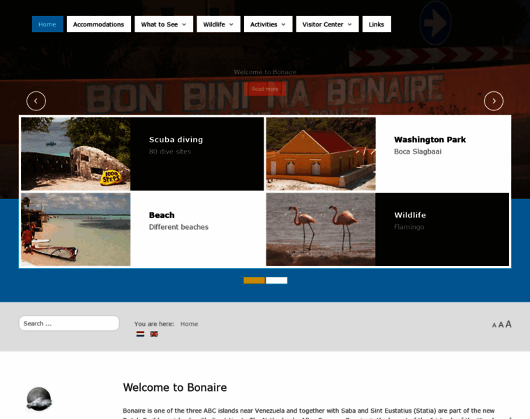 Bonbinibonaire.nl thumbnail