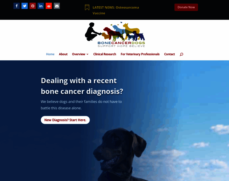 Bonecancerdogs.org thumbnail