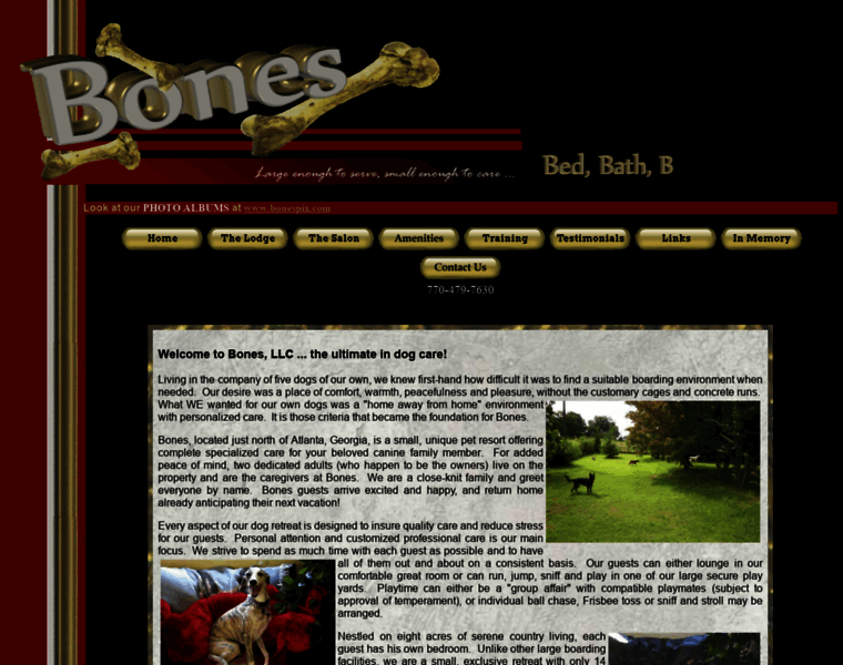 Bonesandmore.com thumbnail