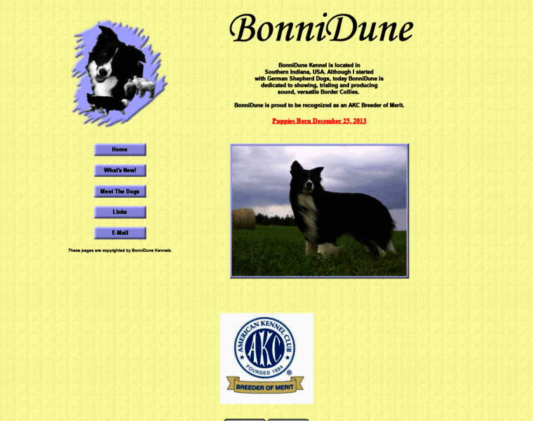 Bonnidune.com thumbnail