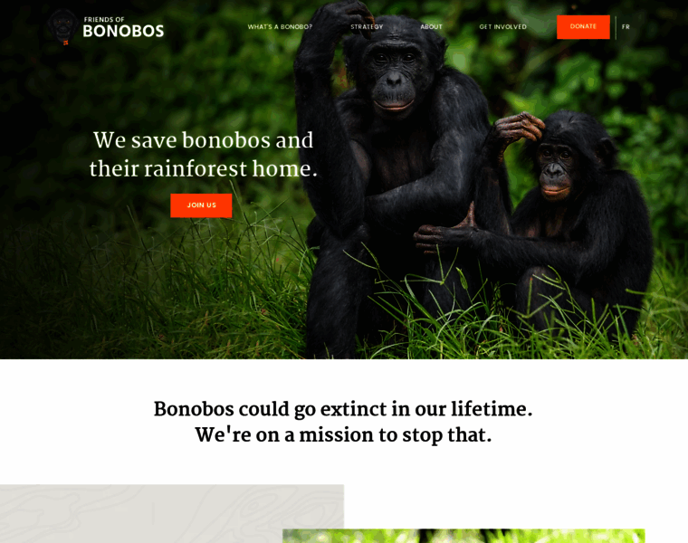 Bonoboproject.org thumbnail