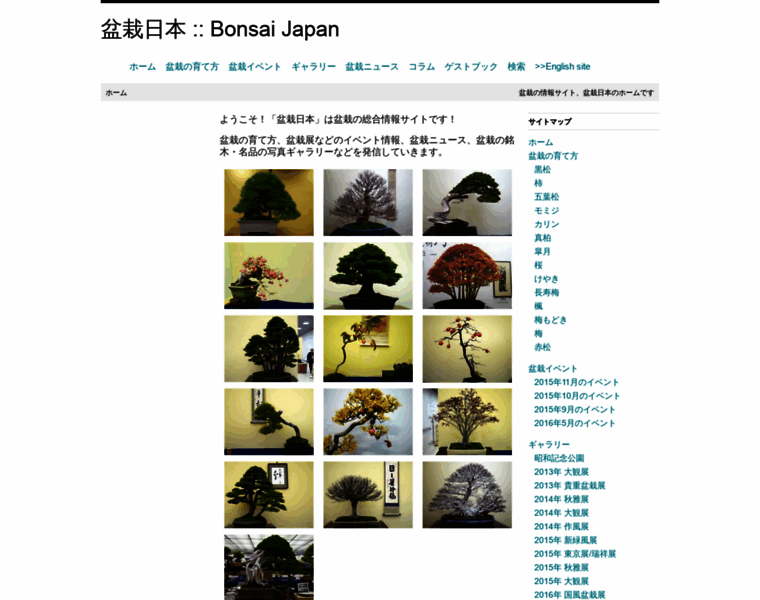 Bonsai.jp.net thumbnail