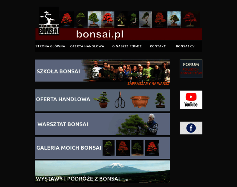 Bonsai.pl thumbnail