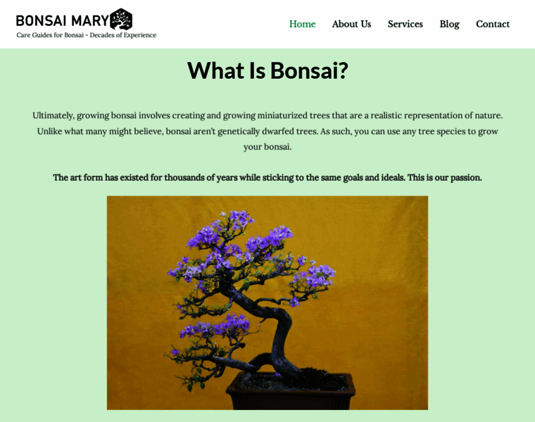 Bonsaimary.com thumbnail
