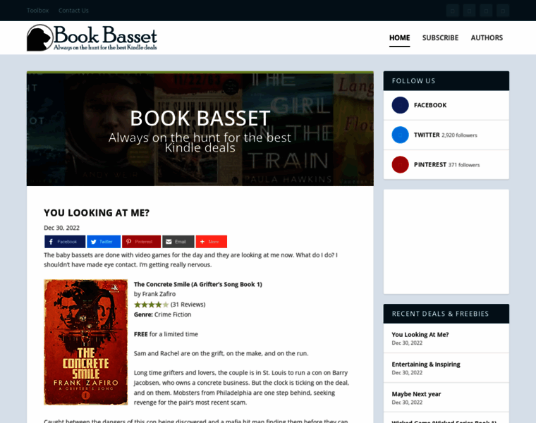 Bookbasset.com thumbnail