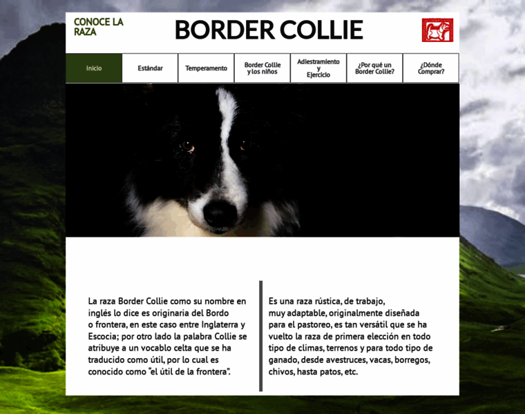 Bordercollie.info thumbnail