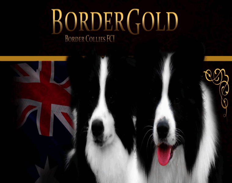 Bordergold.pl thumbnail